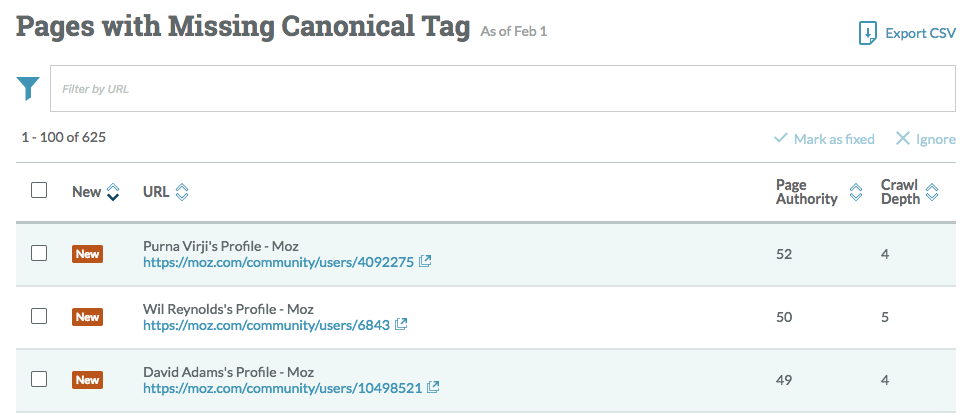 Moz Canonical Audit