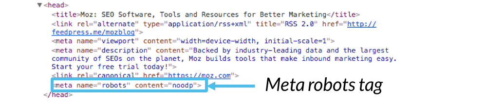 robots meta tag html5